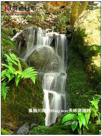 在日本喝杯茶要多少钱:茶室环境(组图)